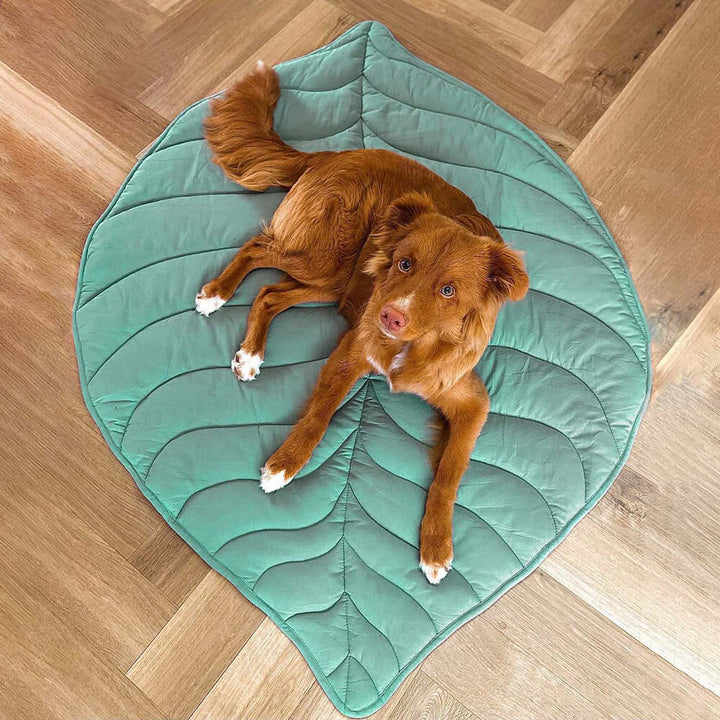 Waschbare Hundedecke Blattform, langlebig und sehr komfortabel für den täglichen Gebrauch.