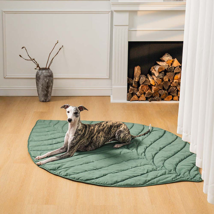 Weiche und plüschige Hundedecke Blattform, die Lieblingsdecke für jeden Hund.