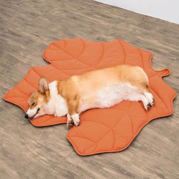 Gemütliche Blattform-Hundedecke in Naturgrün, tolle Geschenkidee für Tierliebhaber.