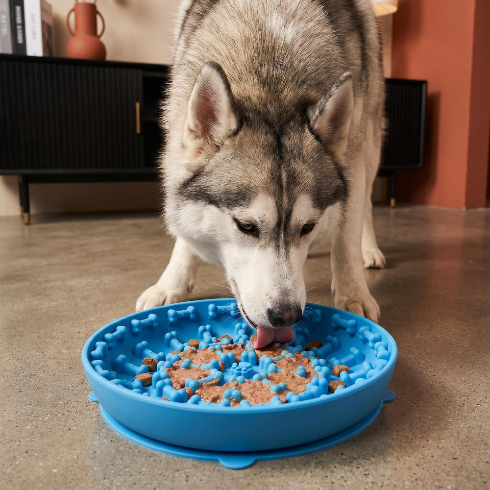 Blaue Silikon Schleckmatte für Hunde, interaktiver Futternapf gegen Schlingen. Hundezubehör.