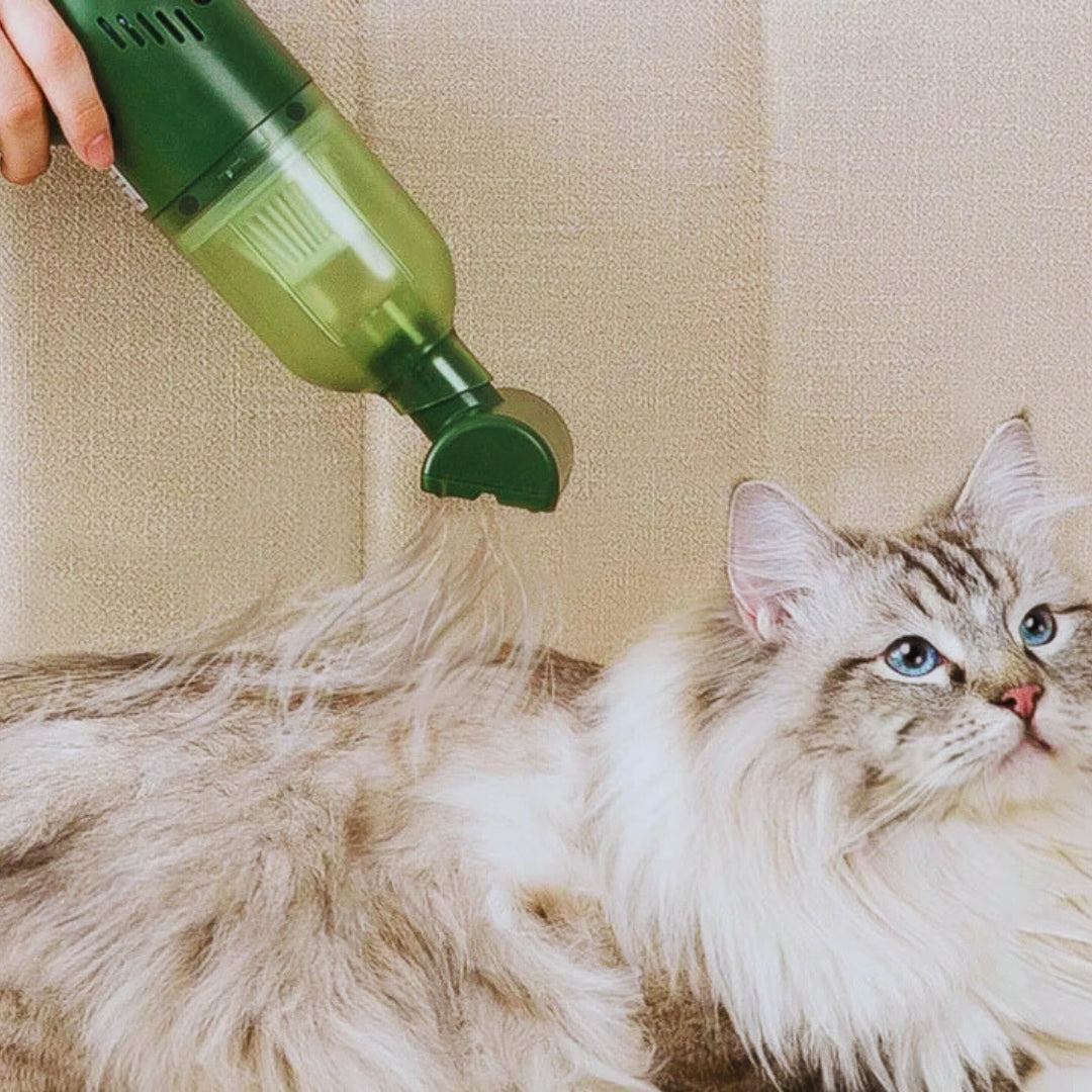 Grüner, starker Handstaubsauger für Tierhaare; ideal für Haustierbesitzer zur schnellen Reinigung von Sofa & Kleidung.