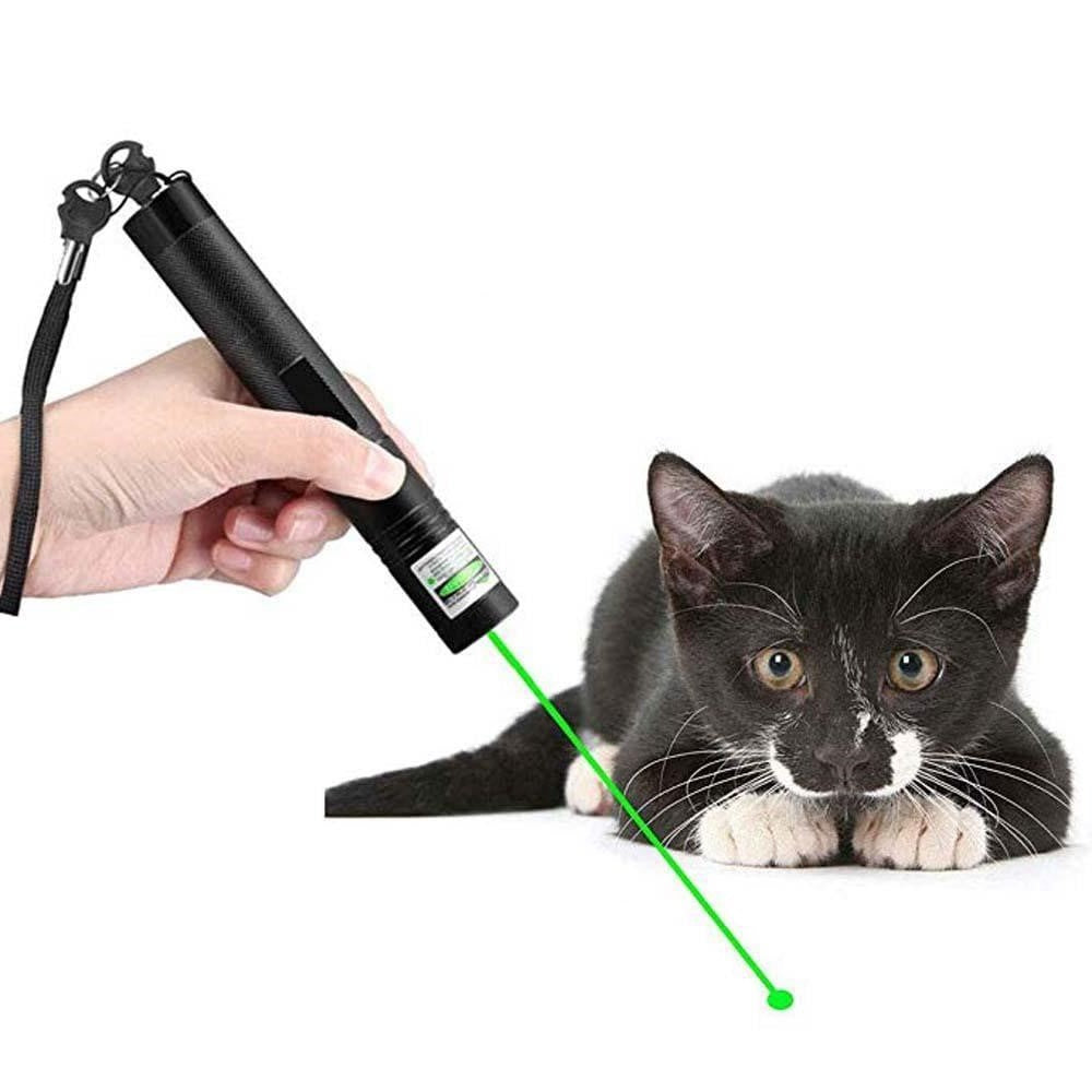 Kraftvoller Laserpointer PrecisionBeam; ideal als Zeigegerät für Lehrmittel und Präsentationen.