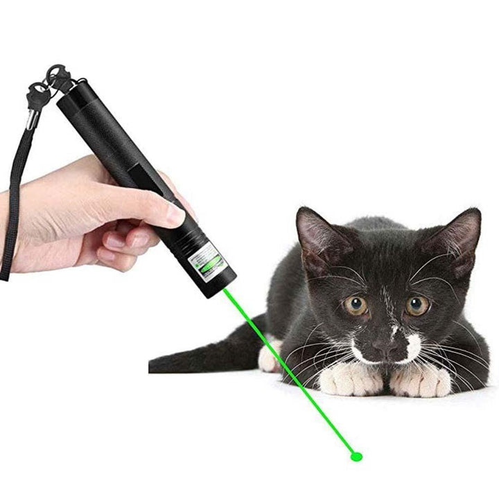 Kraftvoller Laserpointer PrecisionBeam; ideal als Zeigegerät für Lehrmittel und Präsentationen.