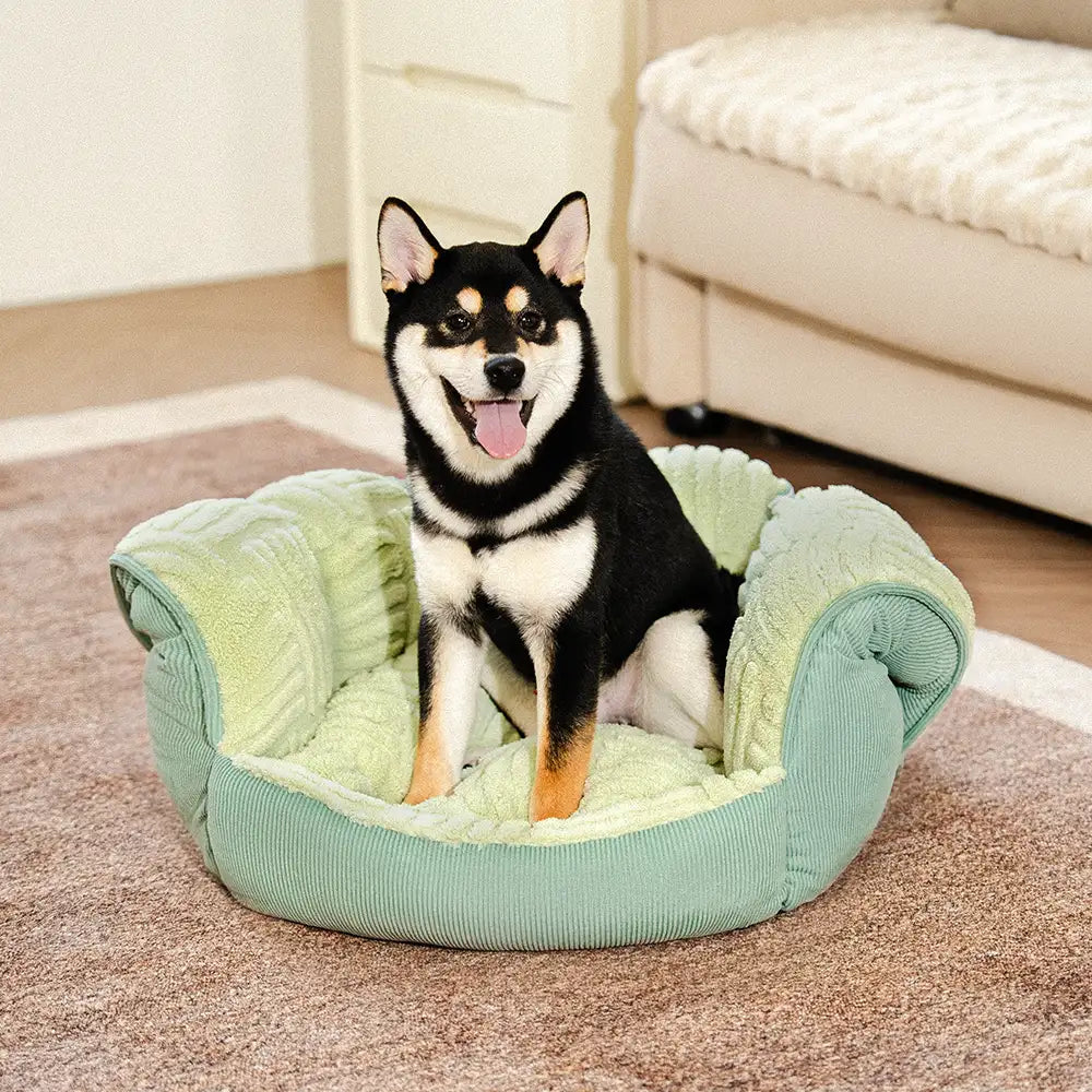 Blaues Haustierbett: Weiches Kuschelbett für Hunde und Katzen, wandelbar vom Höhlenbett zur Liege.