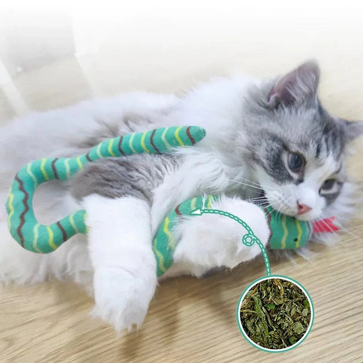 Grünes Schlangen-Spielzeug mit Katzenminze für aktive Katzen, fördert Spielspaß und Jagdtrieb.
