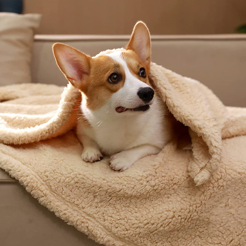 Cremefarbene Fleece-Hundedecke für Welpen & kleine Hunde; kuschelig, warm & pflegeleicht.
