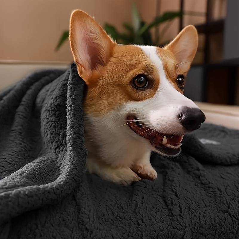 Schwarze Kuscheldecke für kleine Hunde & Welpen; weich, wärmend und waschbar für Tierkomfort.