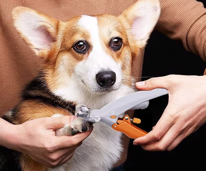 Grauer Krallenschneider Haustiere mit LED-Licht & Vergrößerung für präzises Krallenschneiden bei Hund und Katze.