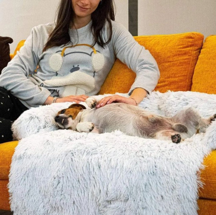 Graues, luxuriöses Hundesofa aus Plüsch für tiefen Schlaf & Wärme, waschbar.