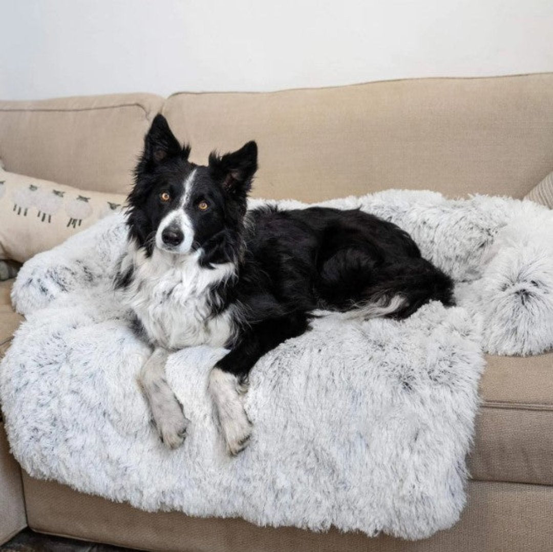 Luxuriöses Hundebett, beige, für tiefen Schlaf, kuschelig und waschbar.