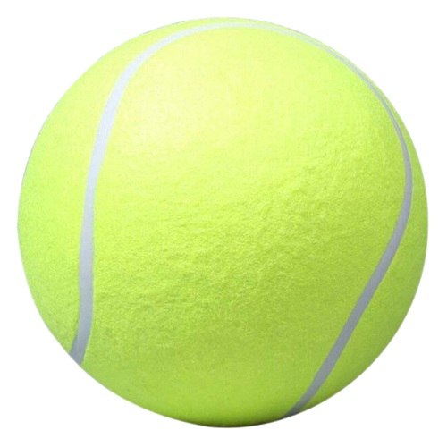 Aktiver Hund spielt begeistert mit dem robusten, extra großen 24 cm Hunde-Tennisball; ideal für Apportierspiele im Garten.