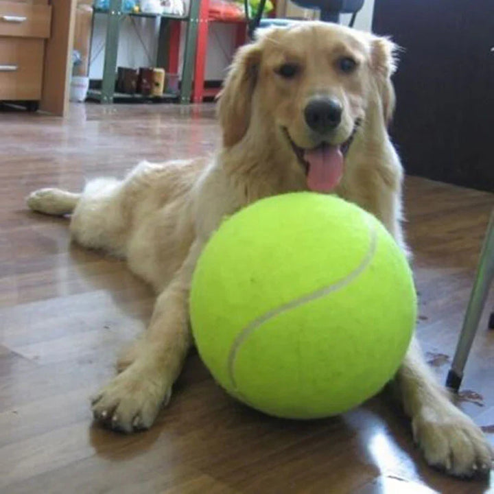 Großer XL Hunde-Tennisball (24 cm) für Apportierspiele im Freien. Robustes Hundespielzeug für aktive große Hunde.