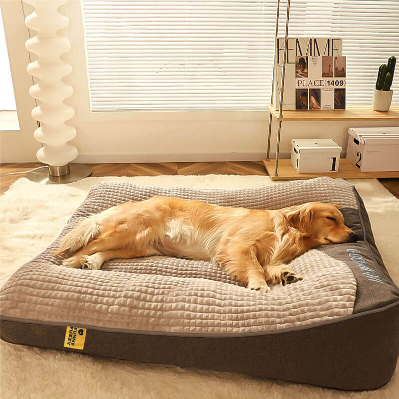 Hochwertiges, waschbares Hundekissenbett, ideal als Schlafplatz für große Hunde mit Wirbelsäulenschutz.