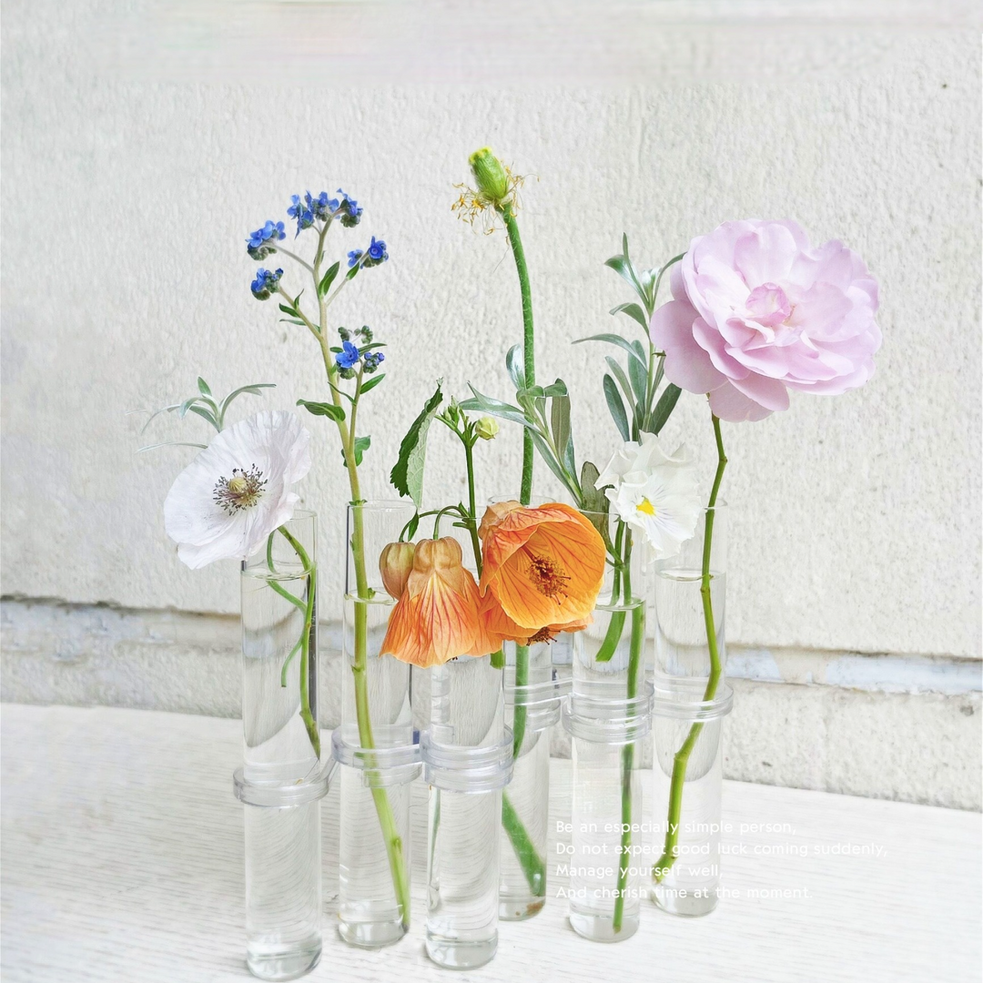 Dekoratives hängendes Glasvasen-Set für Wohnzimmer, Büro oder Schlafzimmer, verschönert jede Wand mit Blumen.