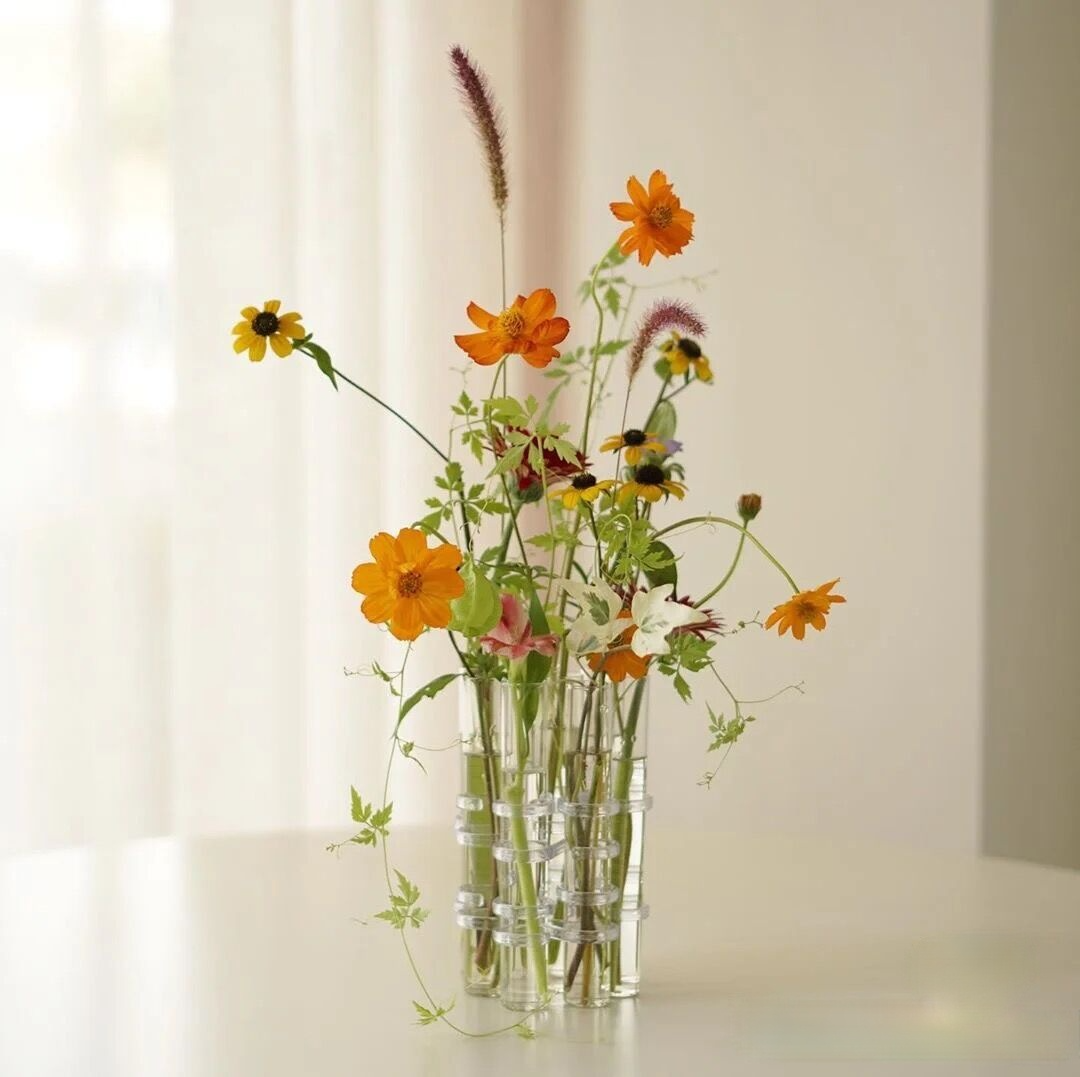 Set von mehreren hängenden Glas-Vasenröhren, vielseitige Pflanzenhalter und moderne Wanddekoration für jeden Raum.