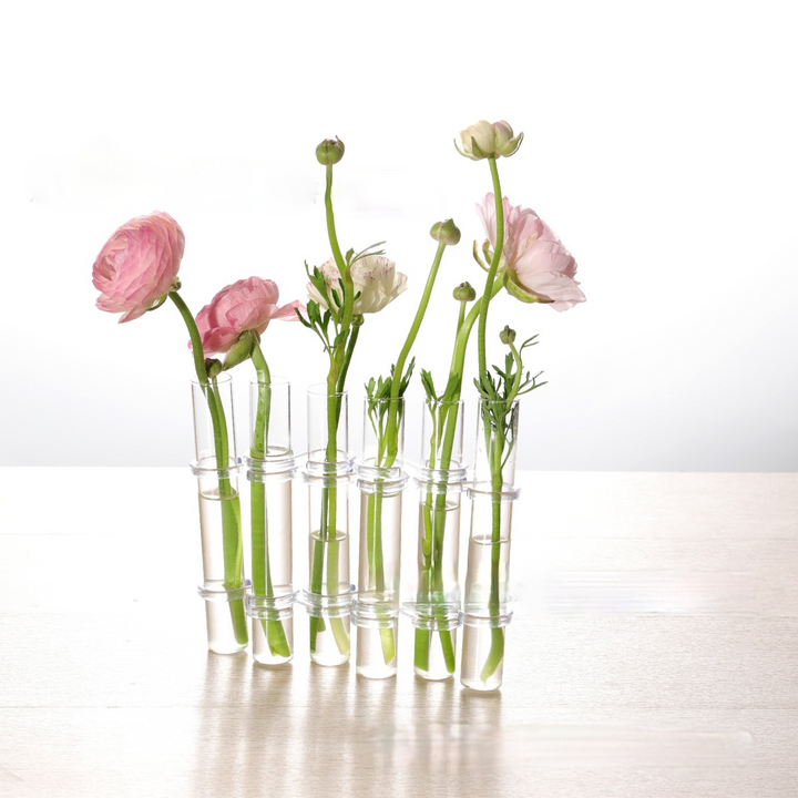 Detailaufnahme von einer hängenden Glasröhrenvase mit frischer Blume, stilvolle und transparente Wanddekoration.