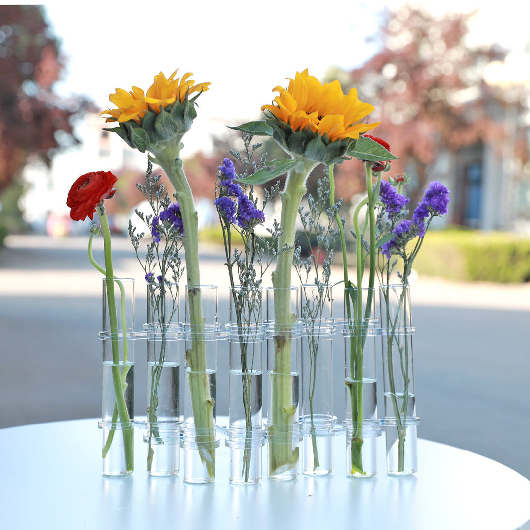Einzigartiges Glas Vasenröhren-Set zum Aufhängen, eine kreative Geschenkidee für Pflanzenliebhaber und Dekoration.