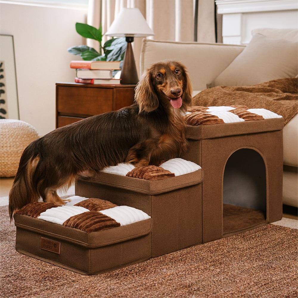 Robuste Hundetreppe für kleine Hunde; Gelenkschutz und integrierter Stauraum.