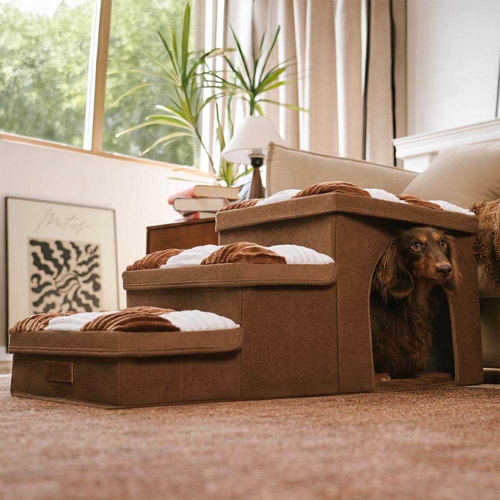 Design-Hundetreppe, handgefertigt; Polypropylen-Stufen, mit nützlichem Stauraum.