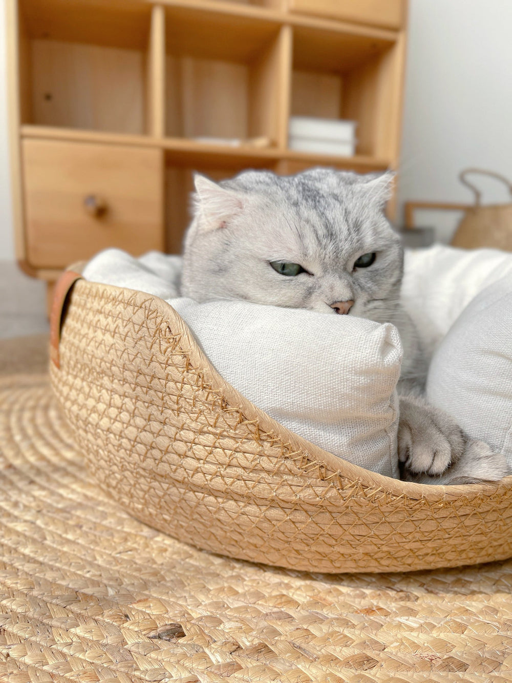Bequemes, handgefertigtes Haustierbett in elegantem Design. Perfekter Schlafplatz für Ihre Katze.
