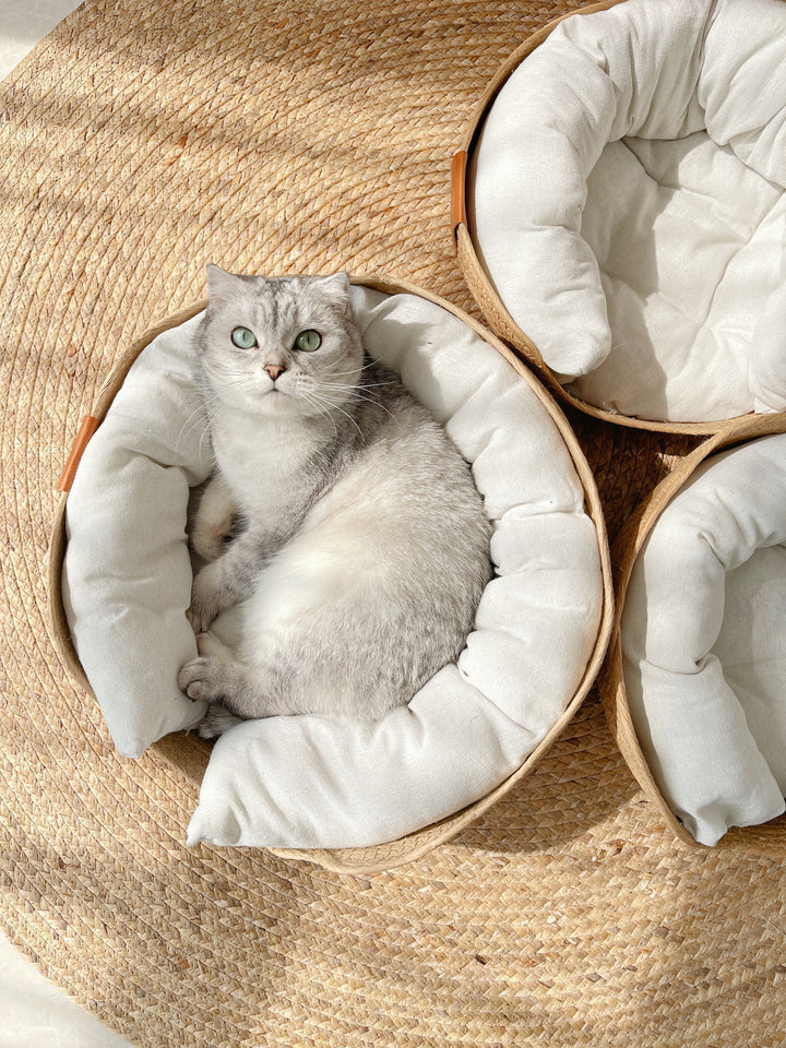 Eleganter Schlafplatz für Katzen. Dieses luxuriöse, handgefertigte Haustierbett bietet Gemütlichkeit.