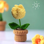 gelbe Tulpe