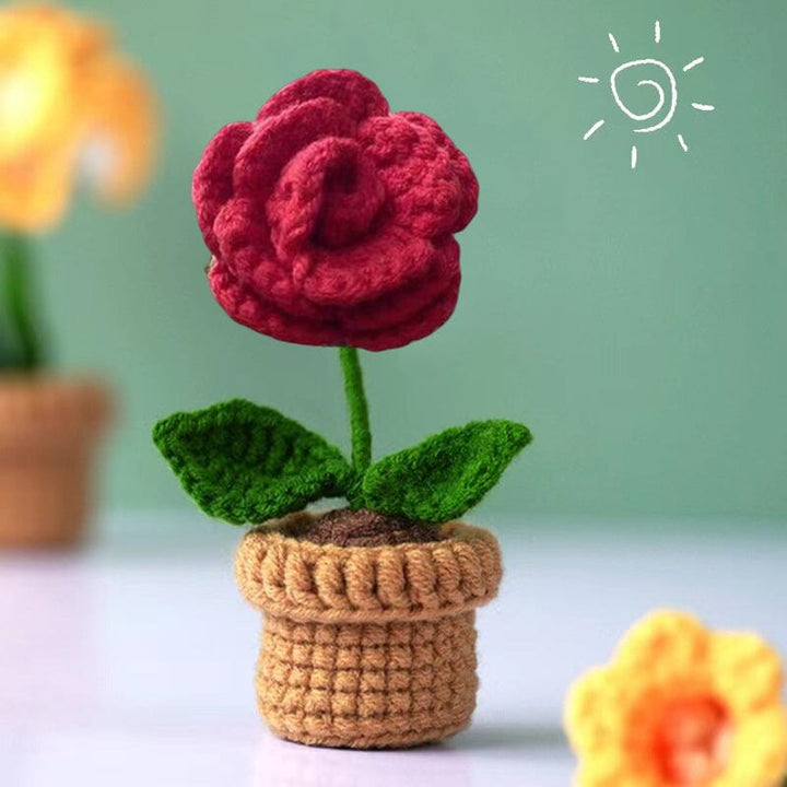 Umweltfreundliche Baumwollblumen: handgestrickt, farbenfroh, ideal als Geschenk.