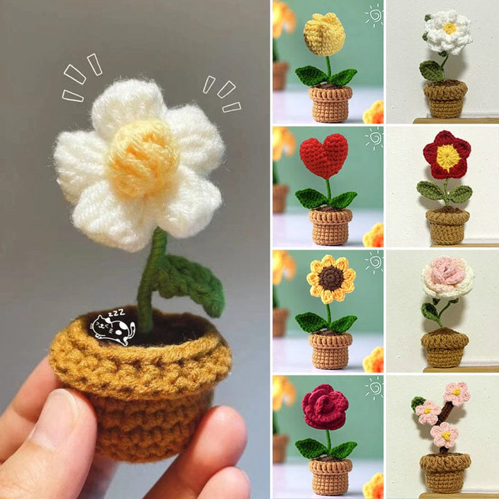 Zauberhafte, handgefertigte Baumwollblumen; unvergängliche Tischdekoration & Wohnaccessoires.