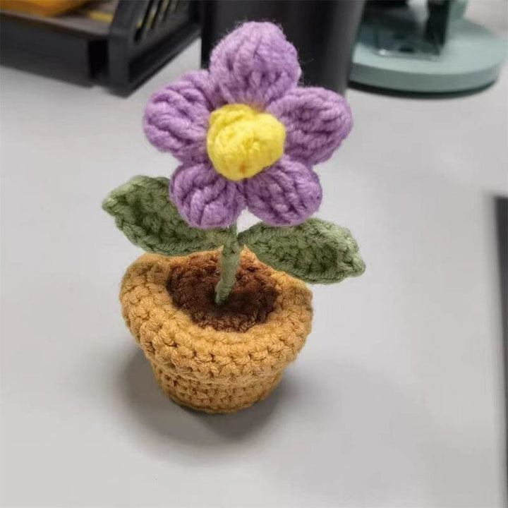 Einzigartige Geschenkidee: handgefertigte, unvergängliche Baumwollblumen-Deko.