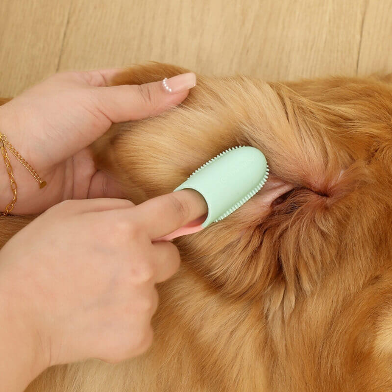 Tierpflege: Ergonomische Fingerzahnbürste für Hunde & Katzen zur optimalen Zahnreinigung.