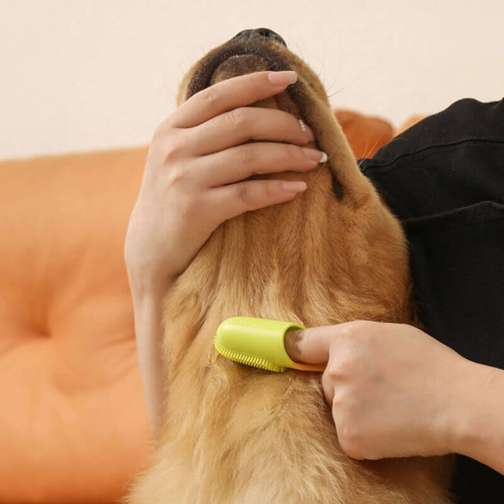 Set aus Fingerzahnbürsten für Hunde und Katzen – unverzichtbar für die Tier-Mundgesundheit.
