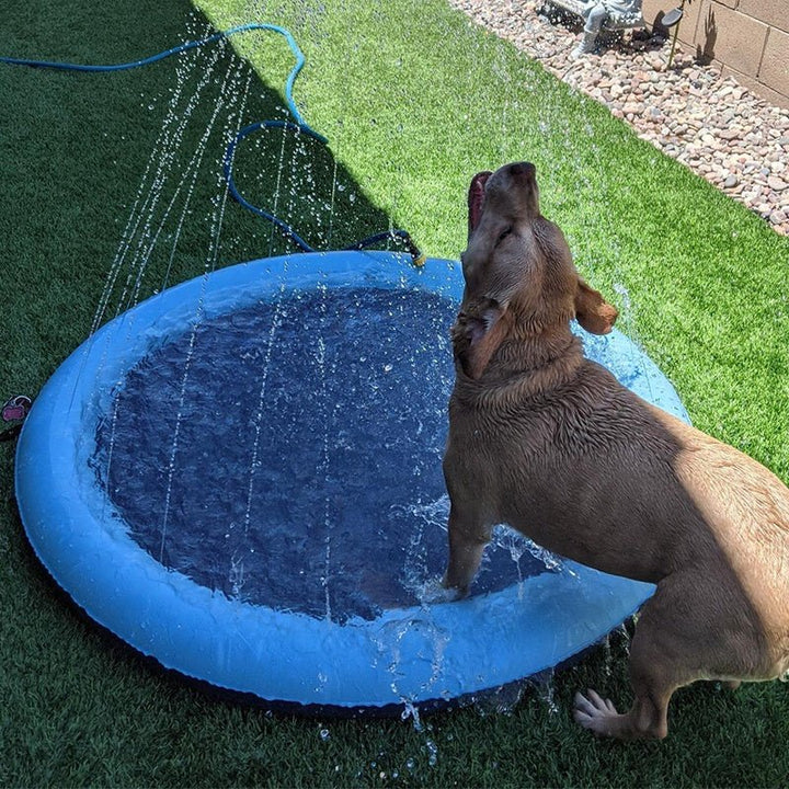Einfach aufzubauendes Wasserspielzeug: Haustier-Sprinklerkissen als ideale Abkühlung für Garten & Outdoor.