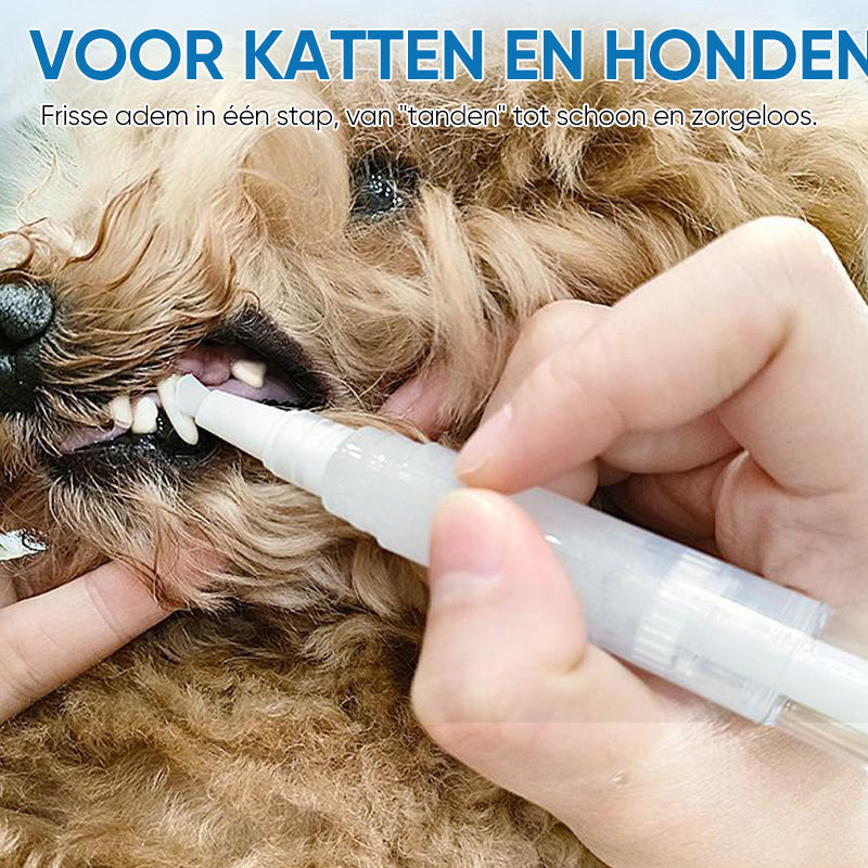 Effektiver Zahnbürstenstift für Hunde & Katzen. Mundhygiene, Plaqueentfernung & frischer Atem.