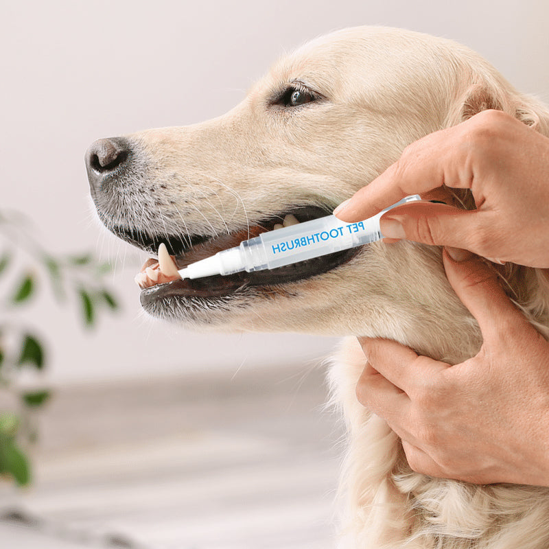 Praktischer Haustier-Zahnbürstenstift. Effektive Zahnpflege für gesunde Zähne bei Hunden & Katzen.