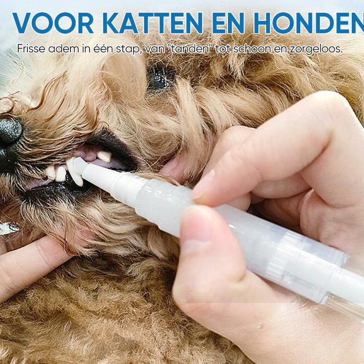 Glücklicher Hund nach Zahnpflege mit PetSmile Zahnbürstenstift. Fördert Tiergesundheit & Wohlbefinden.