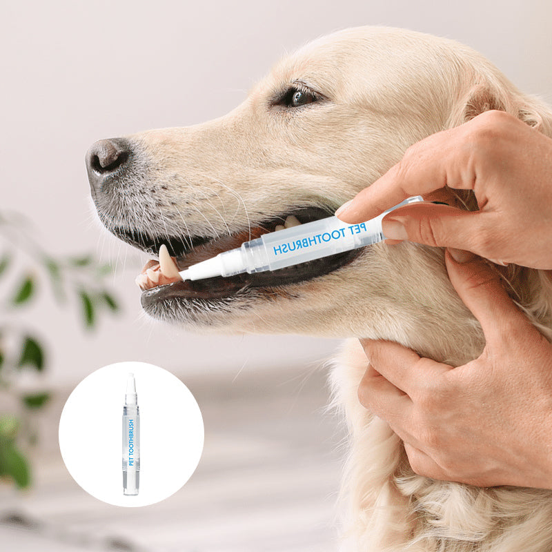 Hund bekommt Zähne geputzt mit PetSmile Zahnpflegestift. Effektive Mundhygiene für gesunde Hunde.