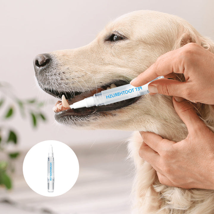 Hund bekommt Zähne geputzt mit PetSmile Zahnpflegestift. Effektive Mundhygiene für gesunde Hunde.