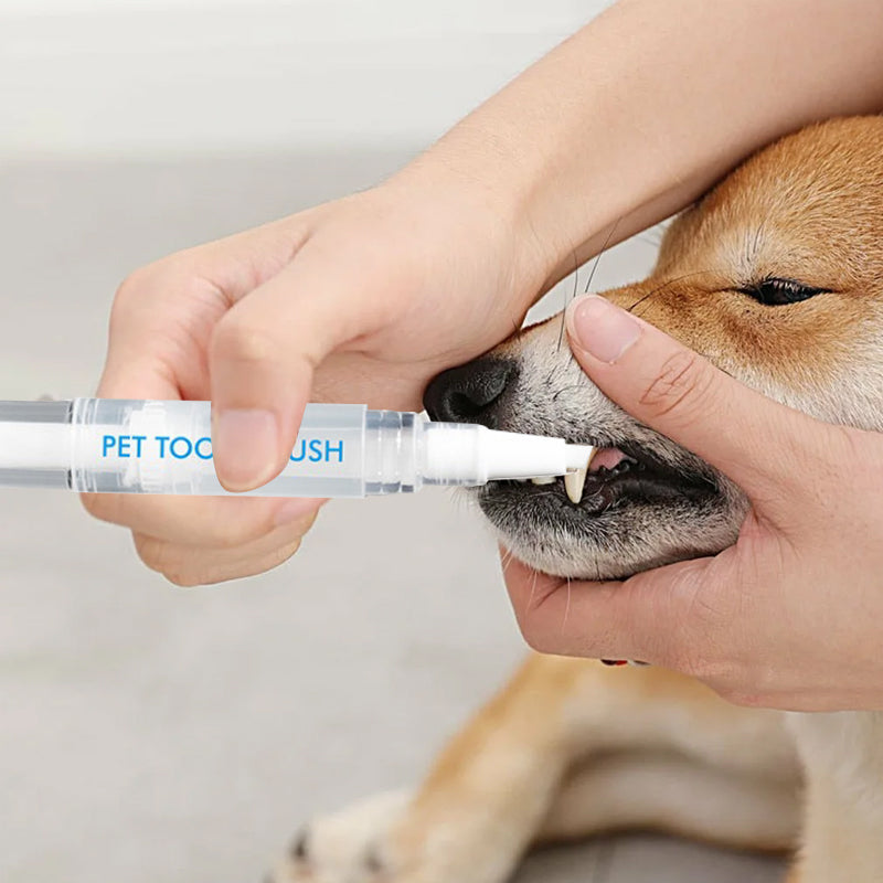 Nahaufnahme des PetSmile Zahnbürstenstift-Applikators; weiche Borsten für sanfte & gründliche Reinigung.