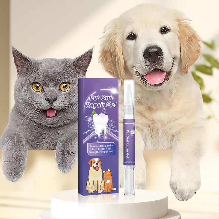 Mundhygiene Gel für Hunde & Katzen. Dieses 2er Pack Zahnpflegegel bekämpft Plaque & Zahnstein effektiv.