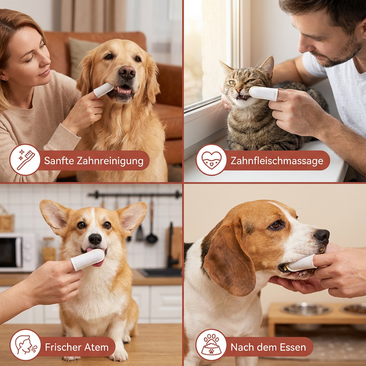 Ein glücklicher Hund erhält Zahnreinigung mit speziellen Tüchern für frischen Atem und gesunde Mundhygiene.