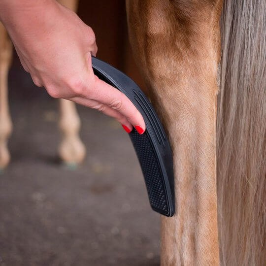 Pferdebürste 6-in-1: Fellpflege, Massagebürste, Reinigungsbürste für Pferde. Tierpflege Zubehör für Wellnesspferd.