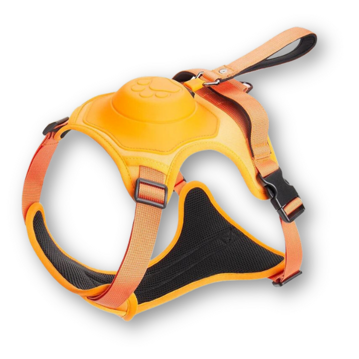 Hochwertiges Hundegeschirr mit ausziehbarer Flexileine, ideal für sichere Spaziergänge und Komfort des Hundes.