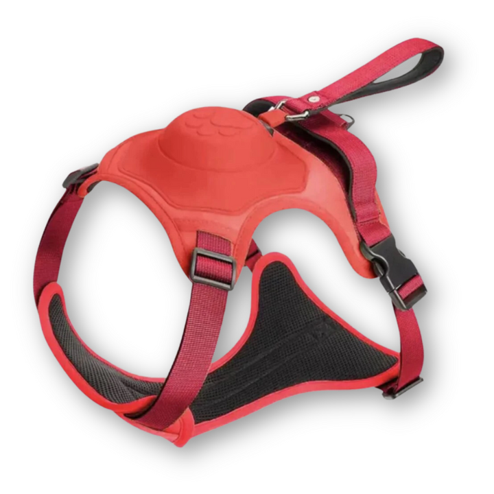 Strapazierfähiges Hundegeschirr mit robuster Flexileine, bietet Komfort und Kontrolle für aktive Hunde und Halter.