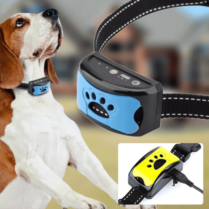Hundeerziehung leicht gemacht: Humanes Anti-Bell Halsband mit sanfter Vibration & Ultraschall.