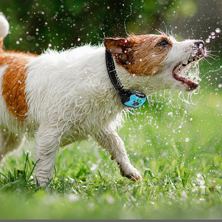 Humanes Hundehalsband für Bellen: Wiederaufladbar, wasserdicht, mit Vibration für effektives Training.
