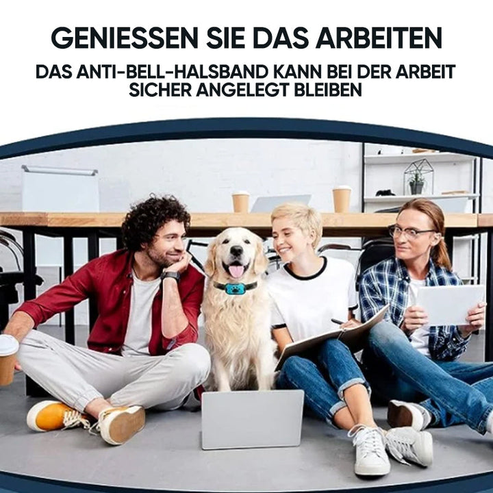 Modernes Hundeerziehungshalsband: Sanftes Training mit Ultraschall und Vibration, für alle Hunde.