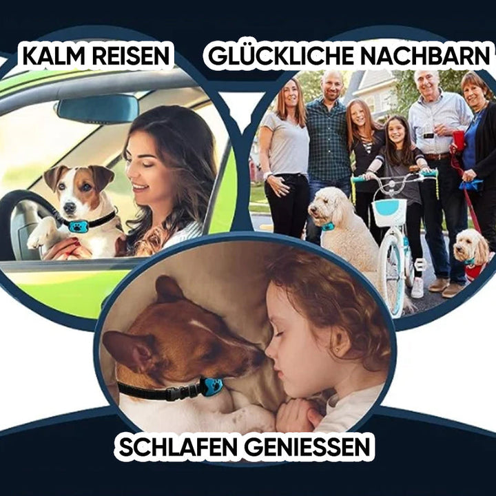 Wiederaufladbares Anti-Bell Hundehalsband für humane Hundeerziehung, reduziert Bellen sanft.