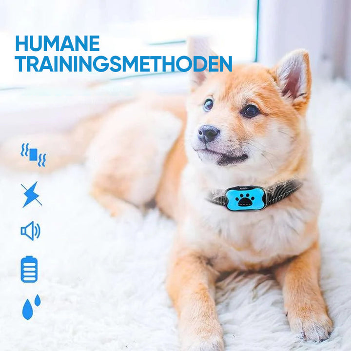 Tierfreundliches Trainingshalsband gegen Bellen mit einstellbarer Vibration & Ultraschall-Funktion.