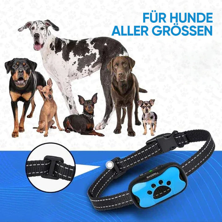 Premium Anti-Bell Halsband für Hundetrainer: Schmerzfrei, wasserdicht, mit Ultraschall & Vibration.