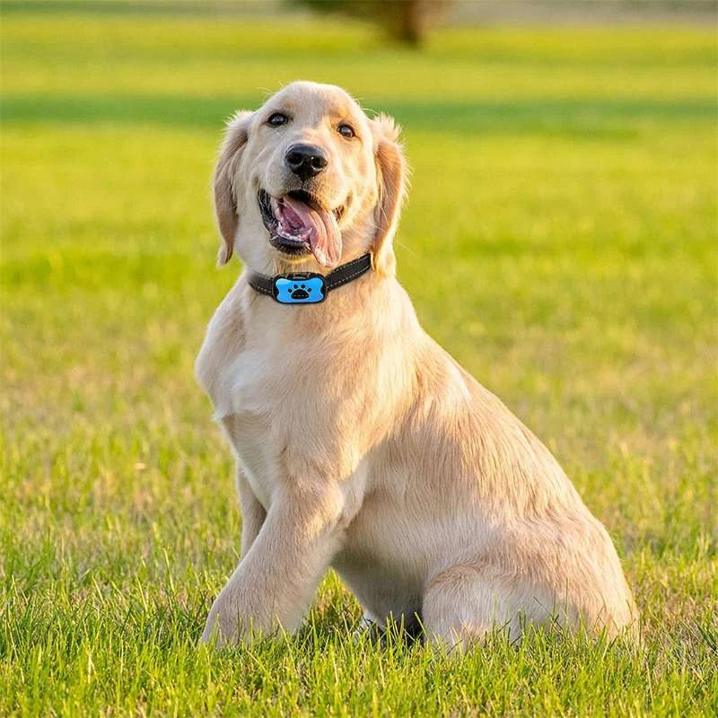 Effektives Hunde-Trainingsgerät: Anti-Bell Halsband stoppt Bellen sanft mit Ultraschall.